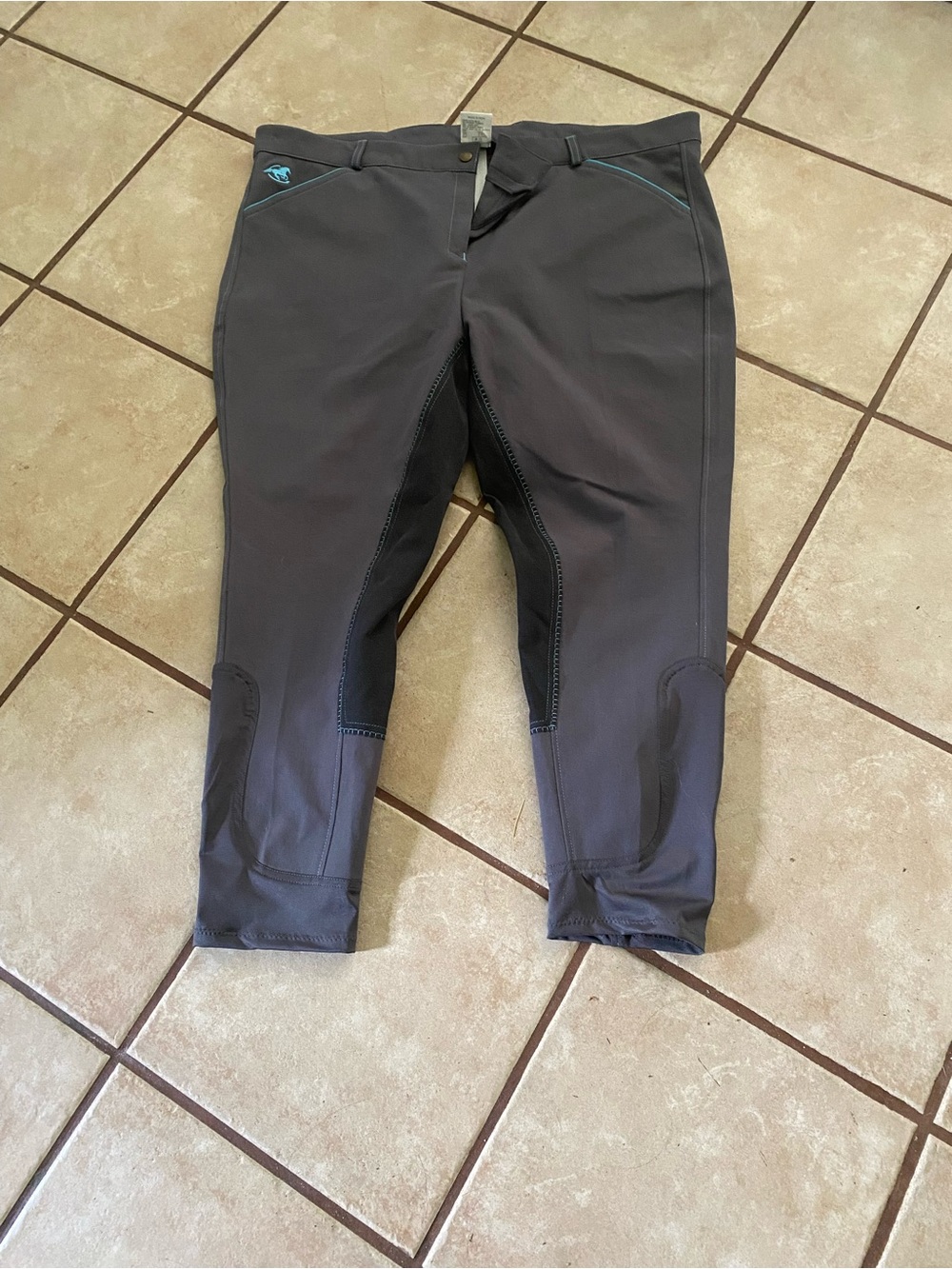 Piper Charcoal Gray Riding Breeches with Teal Accents